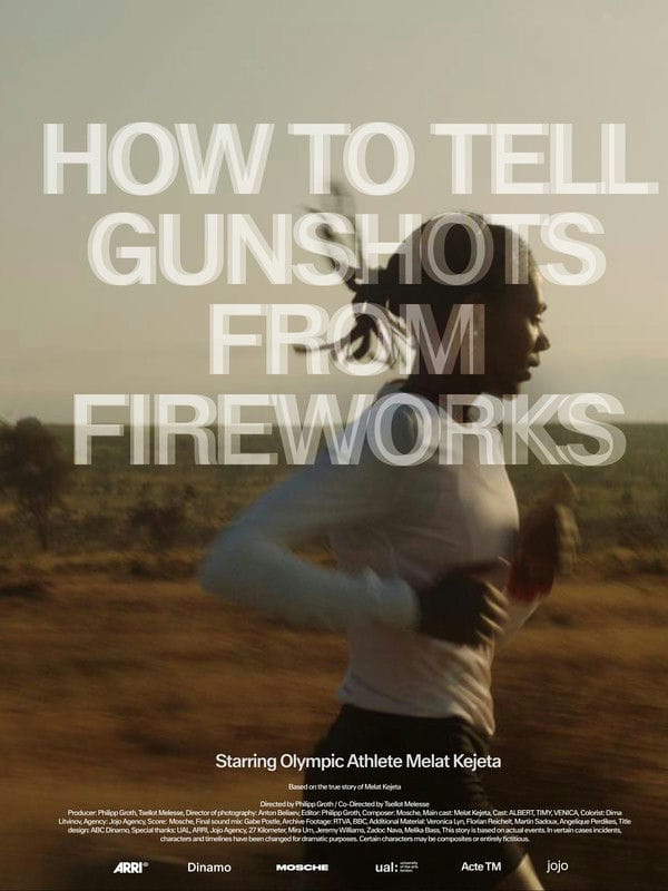 How to Tell Gunshots From Fireworks-POSTER-04
