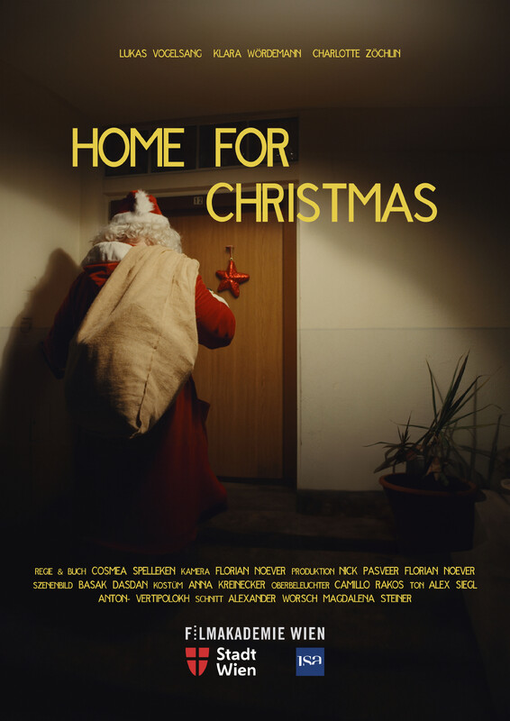 Home for Christmas poster